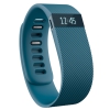 Спортивный браслет Fitbit Charge - Slate Large